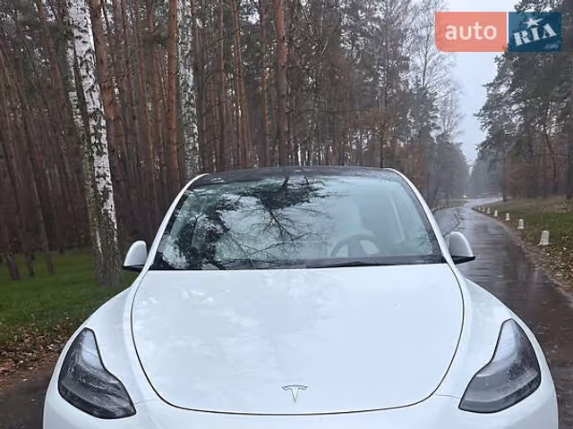 Tesla Model Y - зображення 2