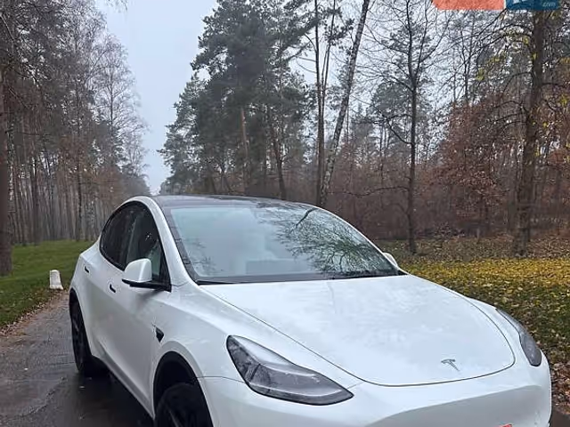 Tesla Model Y - зображення 1