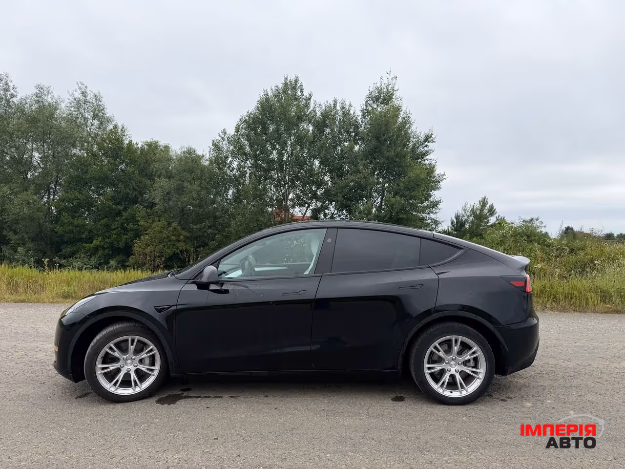 Tesla Model Y - фото 4