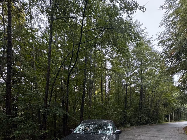 Audi A8 - зображення 1