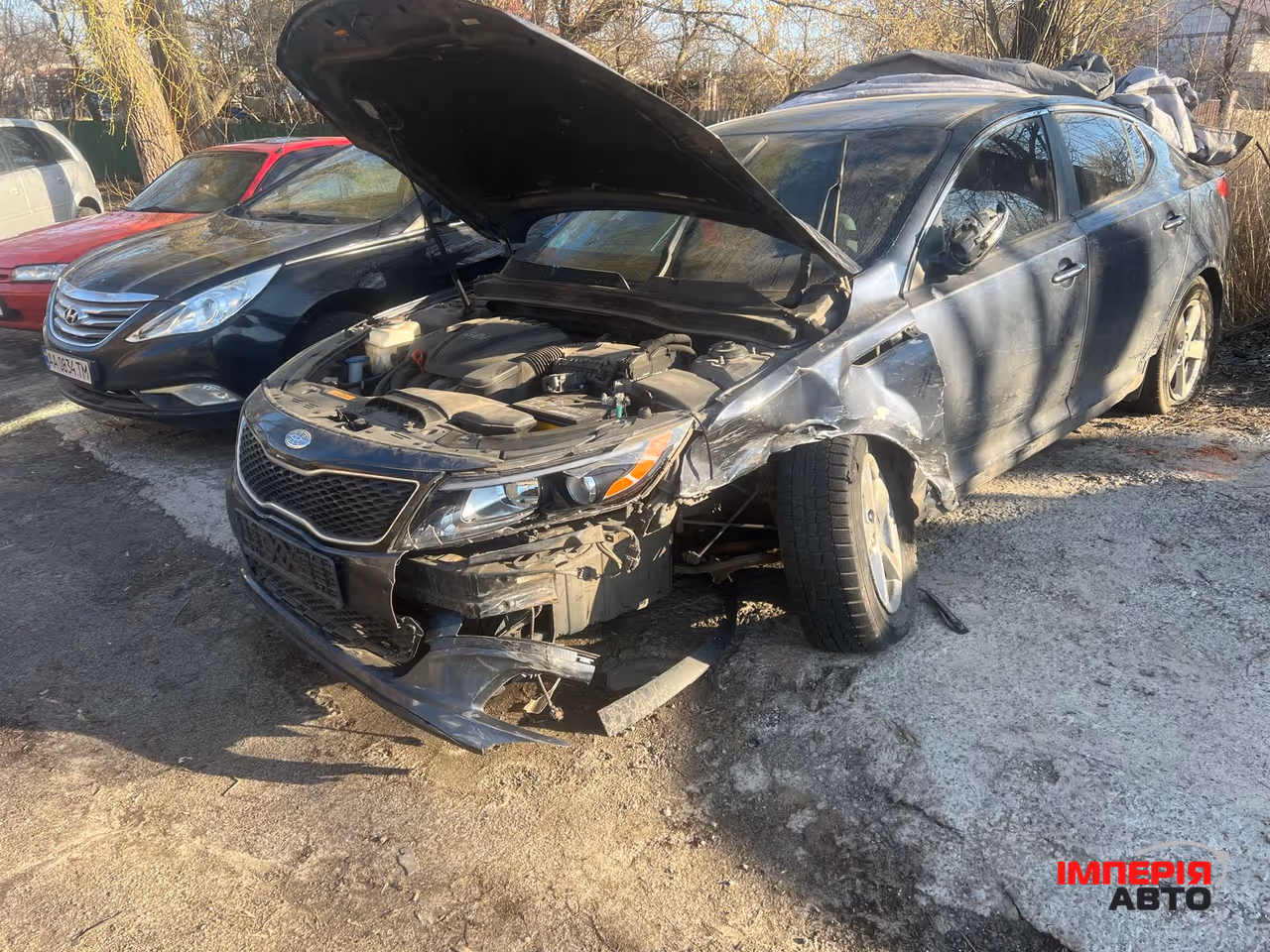 Kia Optima - фото 1