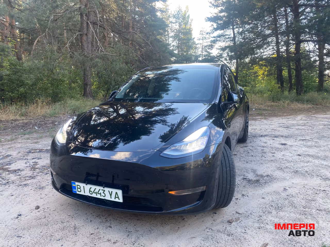 Tesla Model Y - фото 2