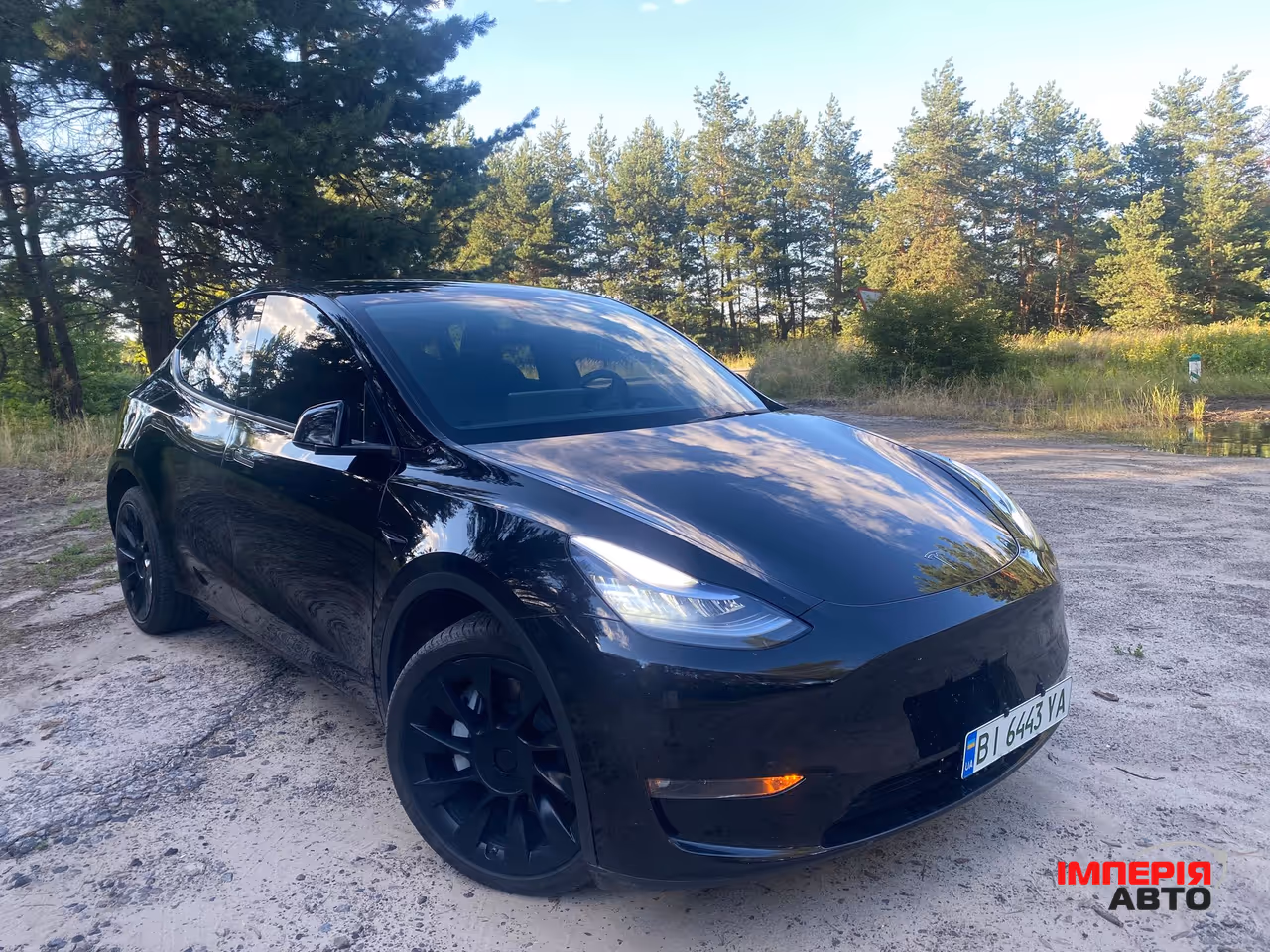Tesla Model Y - фото 1