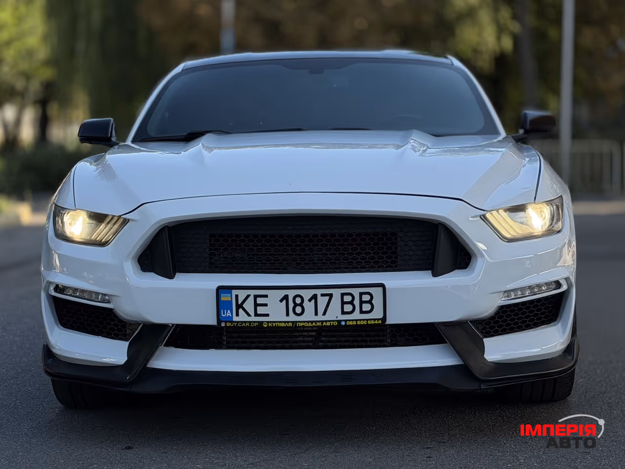 Ford Mustang - фото 8