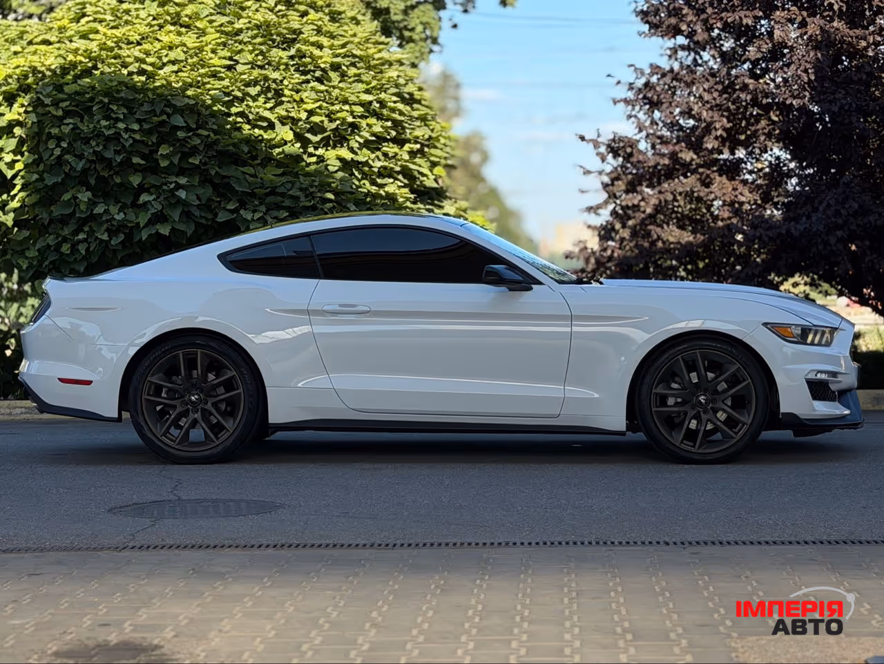 Ford Mustang - фото 6