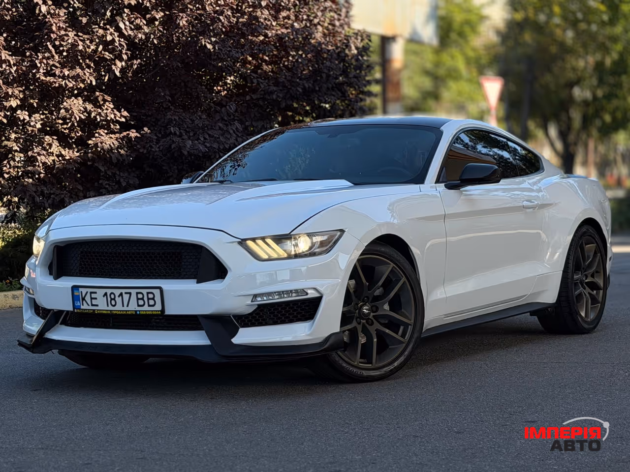 Ford Mustang - фото 1