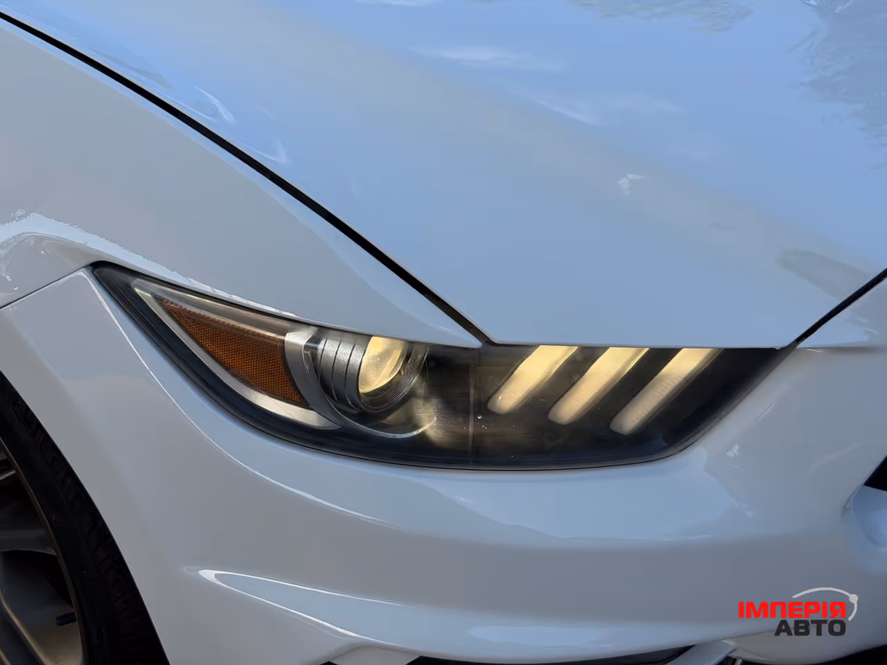 Ford Mustang - фото 29