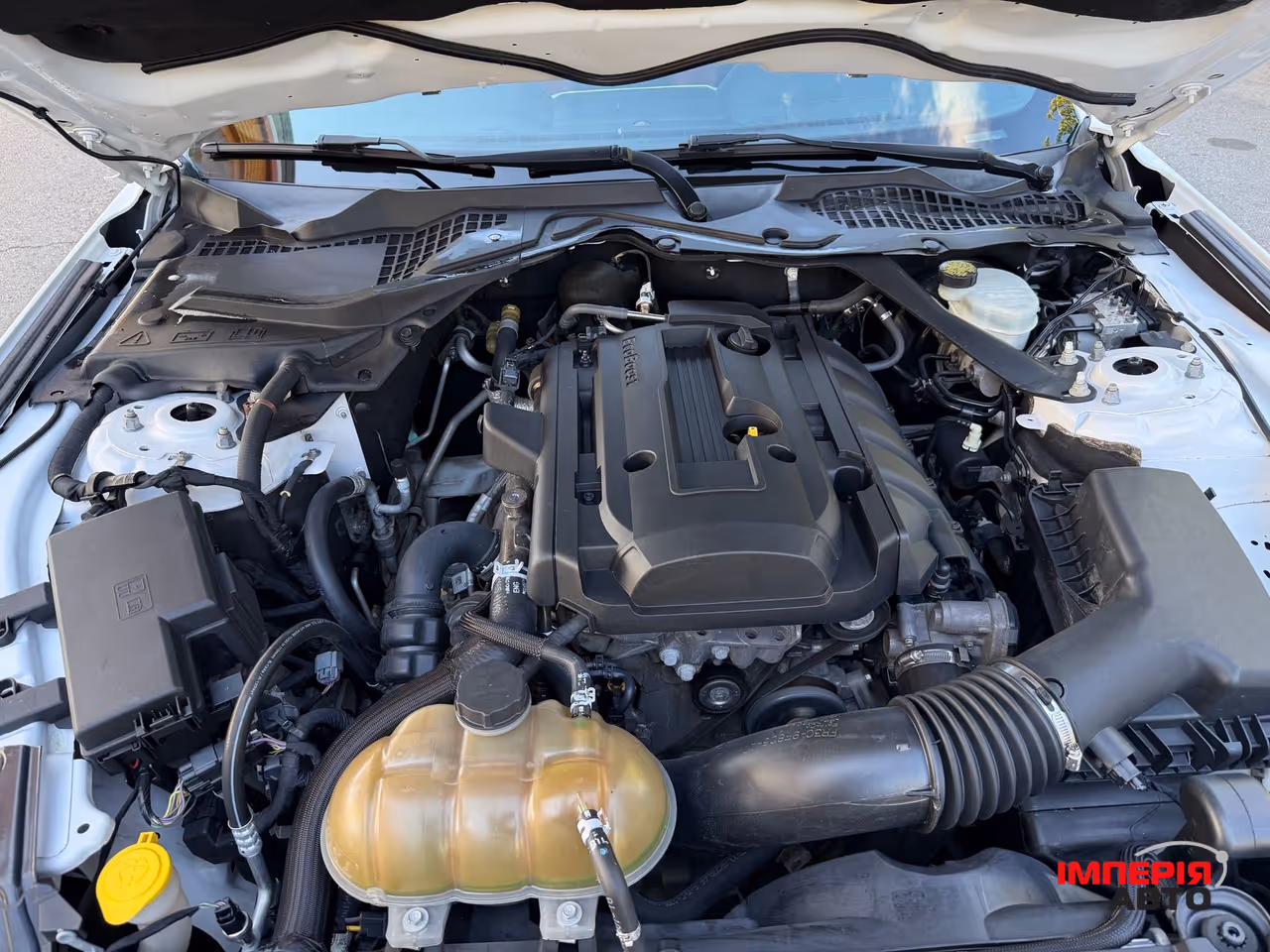 Ford Mustang - фото 11