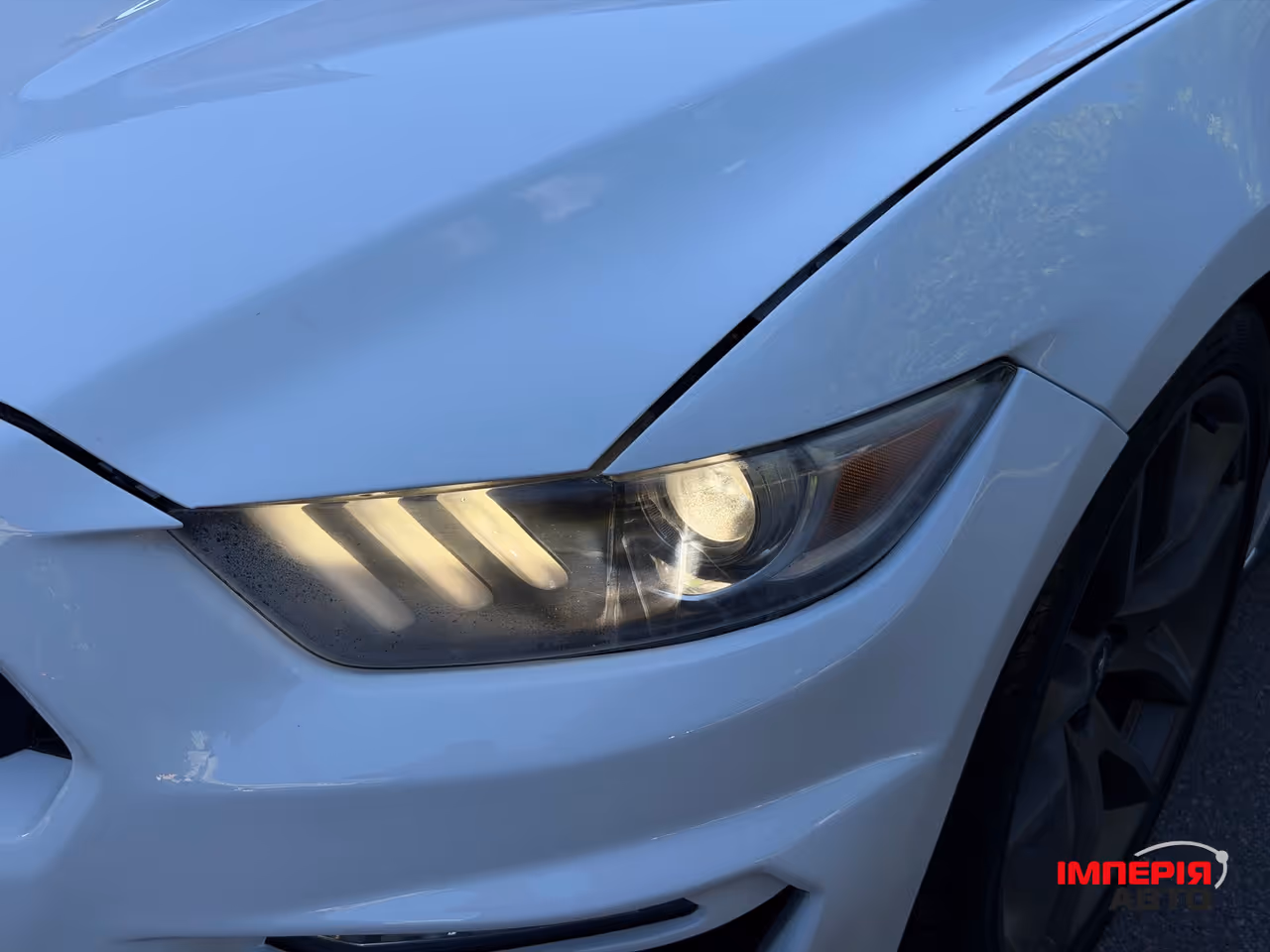 Ford Mustang - фото 15