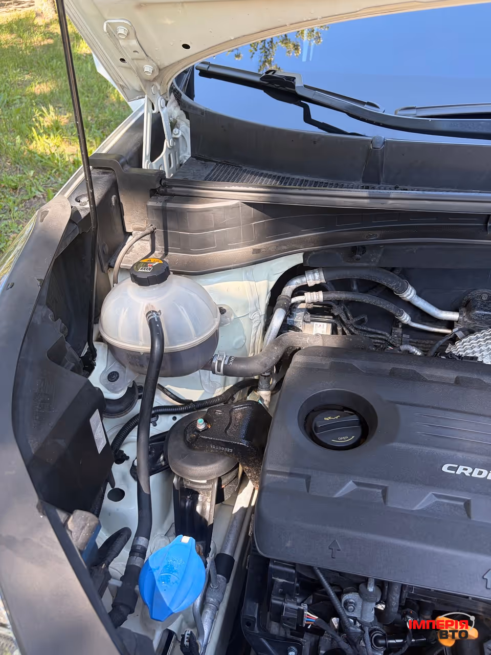 Kia Sportage - фото 29