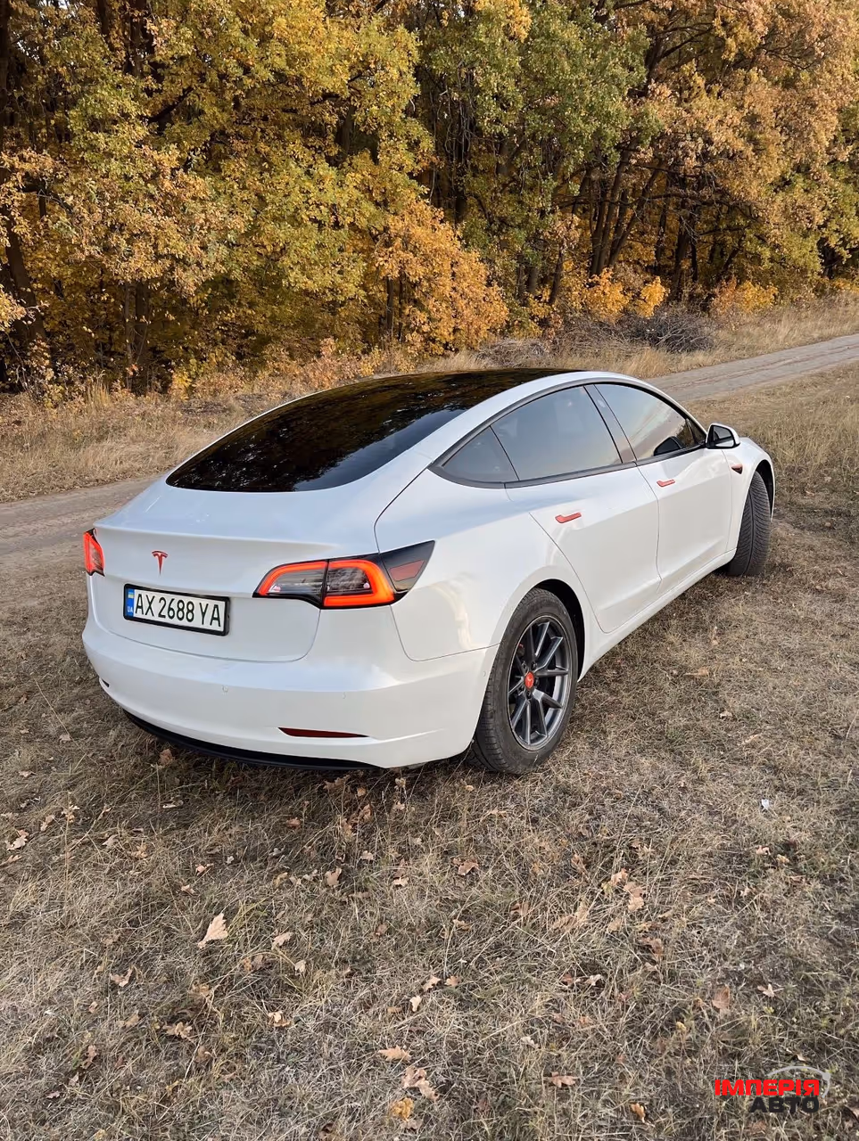 Tesla Model 3 - фото 4
