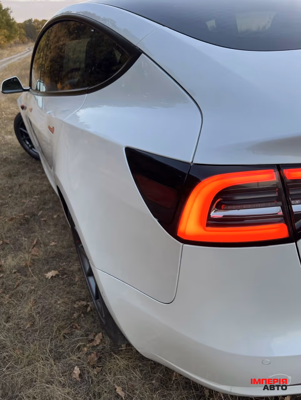Tesla Model 3 - фото 5