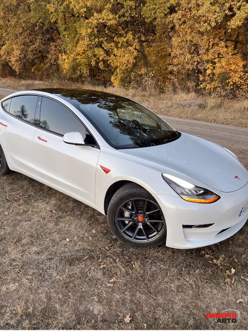 Tesla Model 3 - фото 2