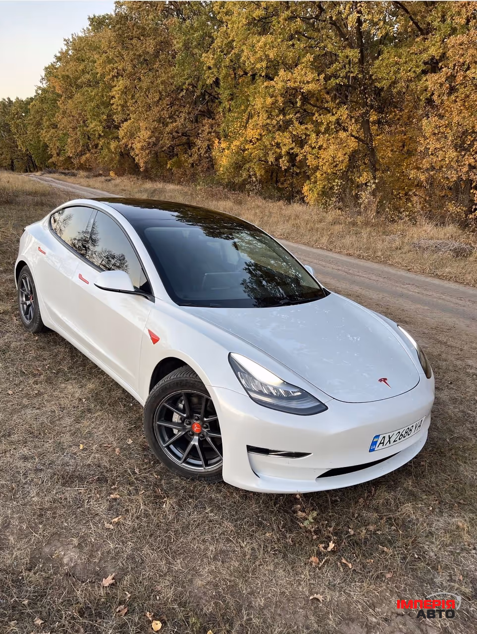 Tesla Model 3 - фото 1