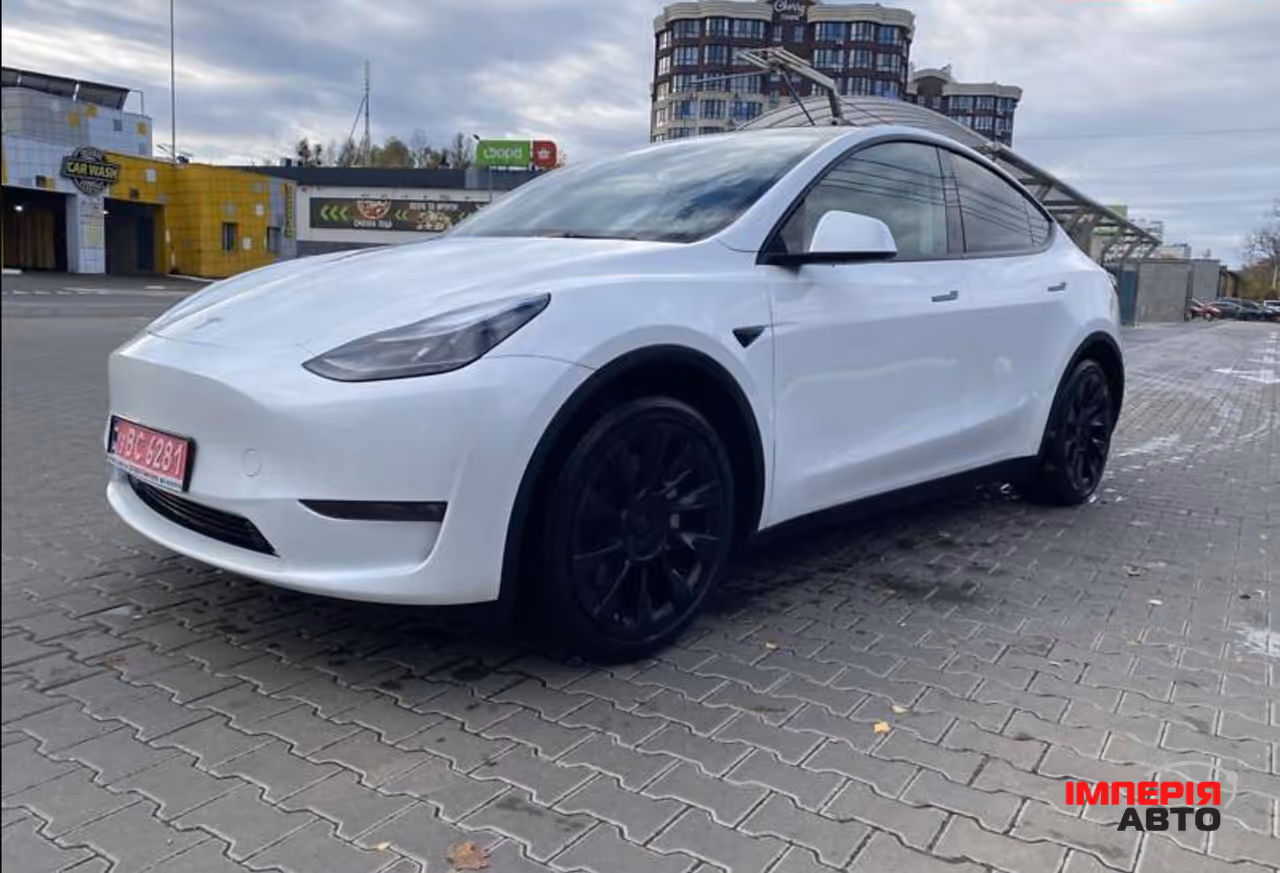 Tesla Model Y - фото 1