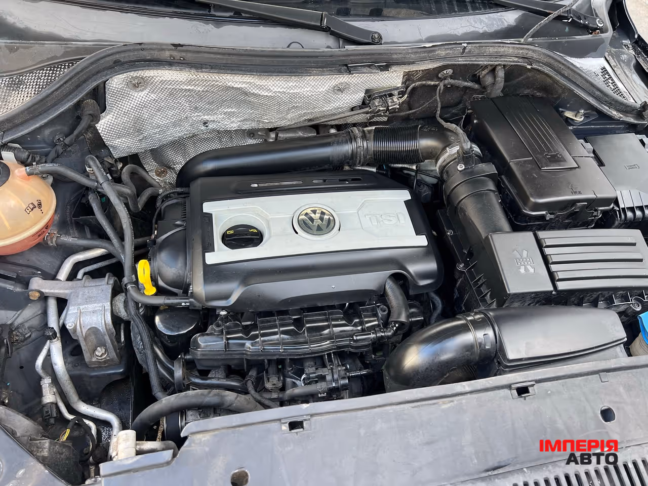 Volkswagen Tiguan - фото 6