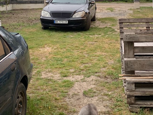 Mercedes-Benz S-Класс - зображення 2