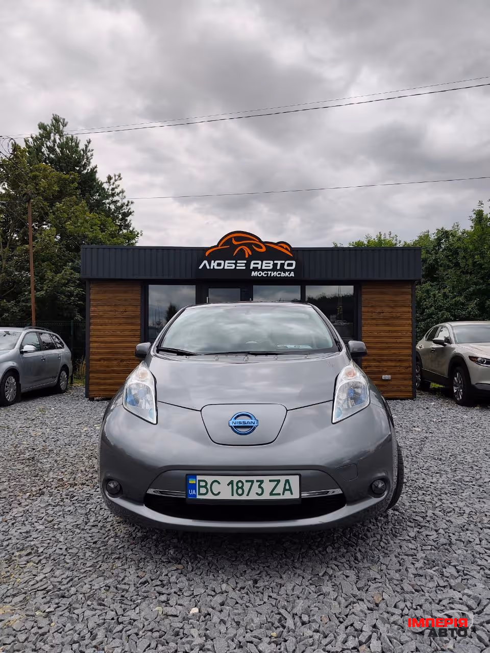 Nissan Leaf - фото 1