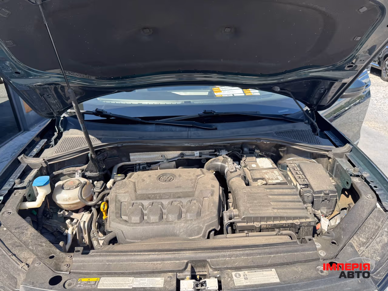 Volkswagen Tiguan - фото 75