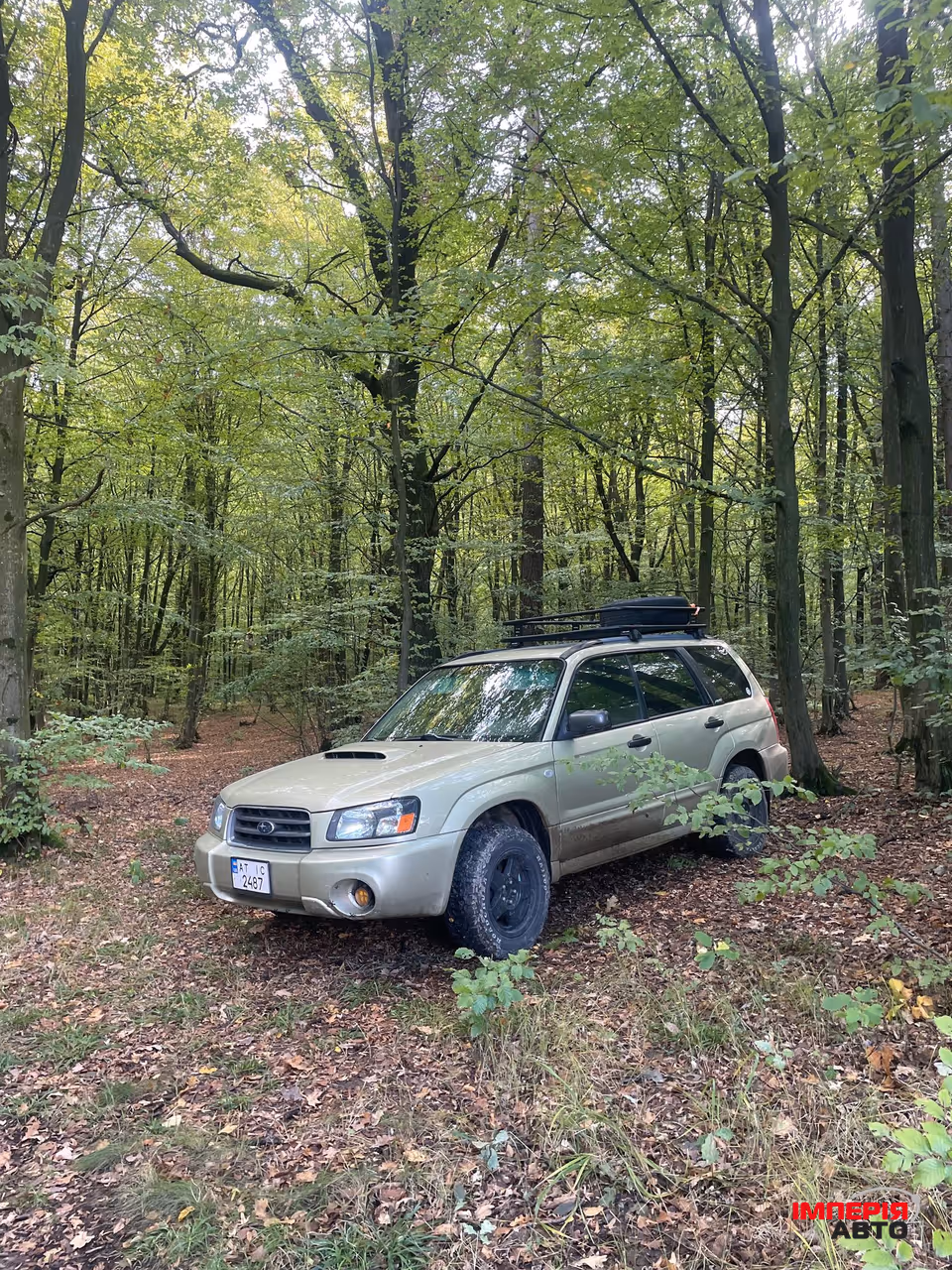 Subaru Forester - фото 1