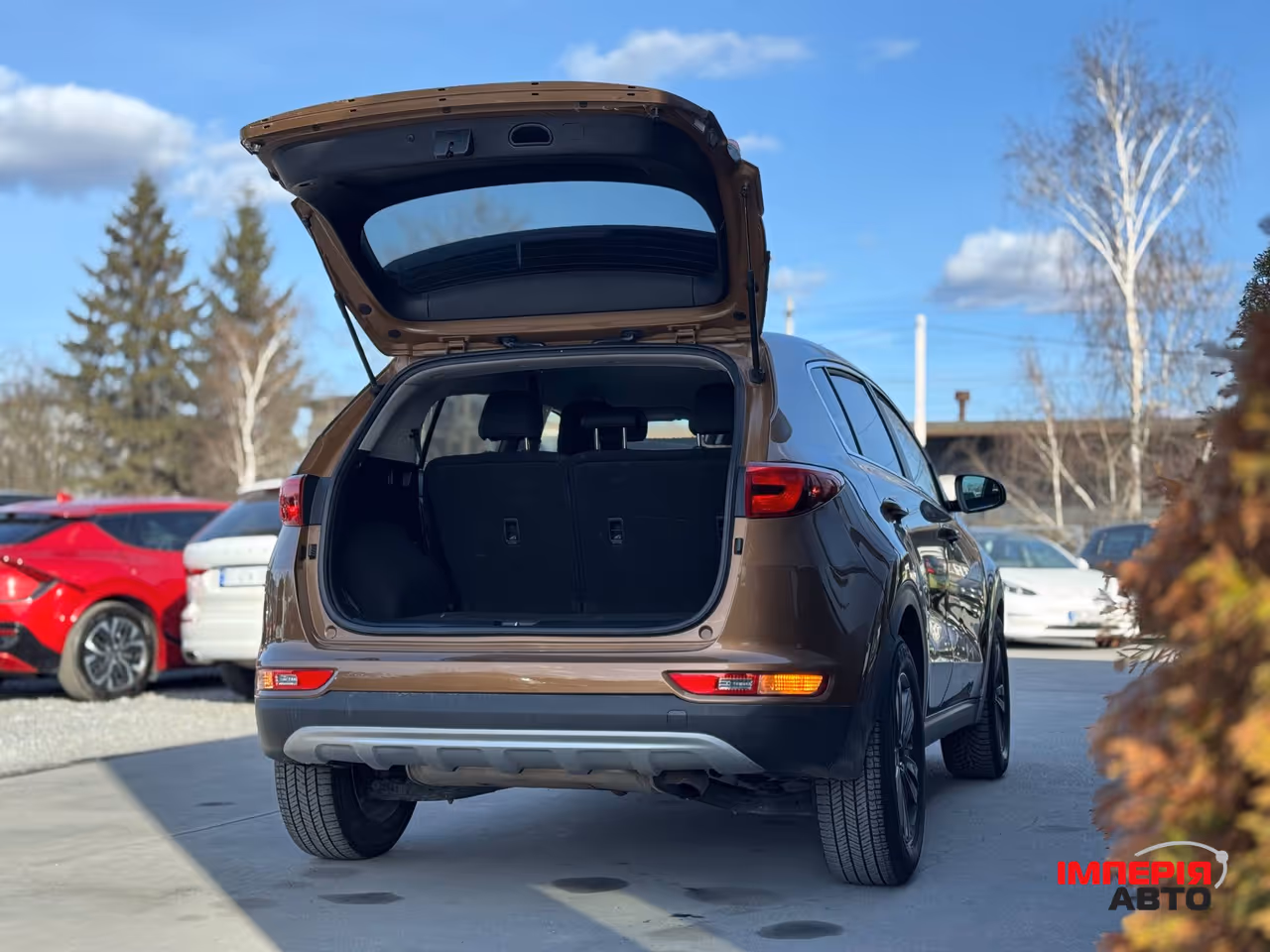 Kia Sportage - фото 23