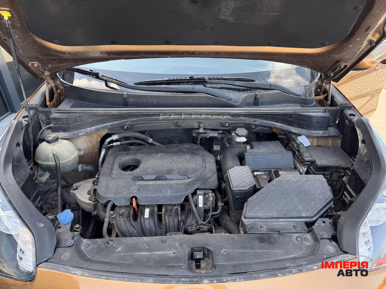 Kia Sportage - фото 68