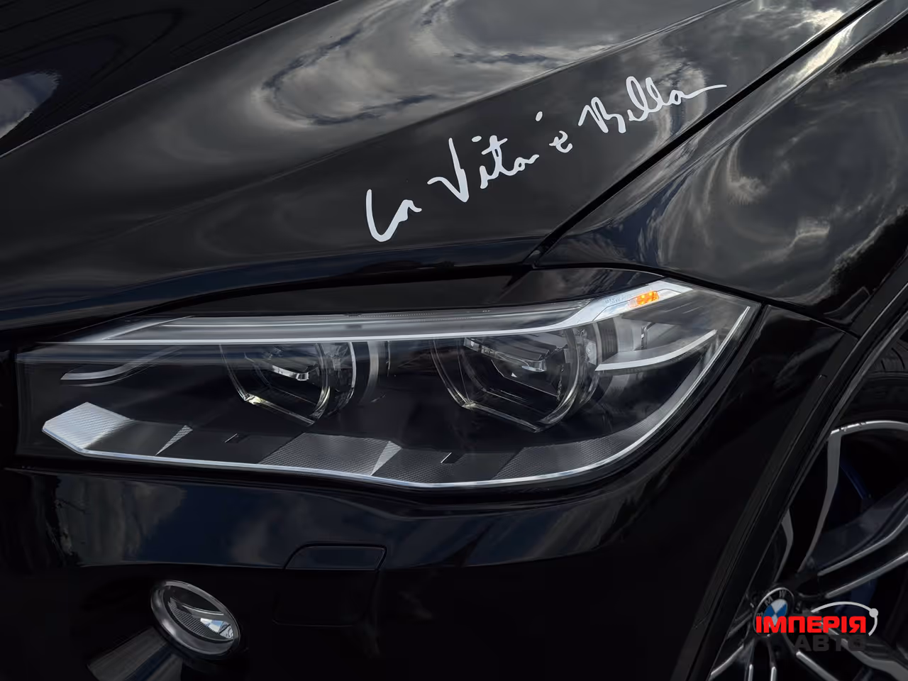 BMW X5 M - фото 8
