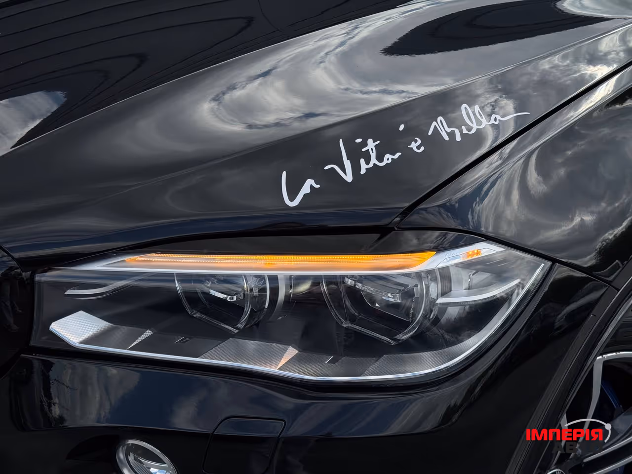 BMW X5 M - фото 9