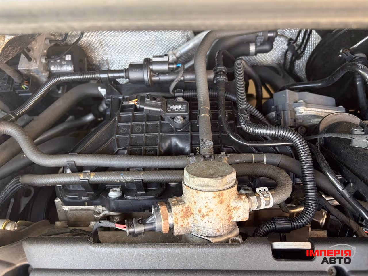 Volkswagen Golf Plus - фото 46