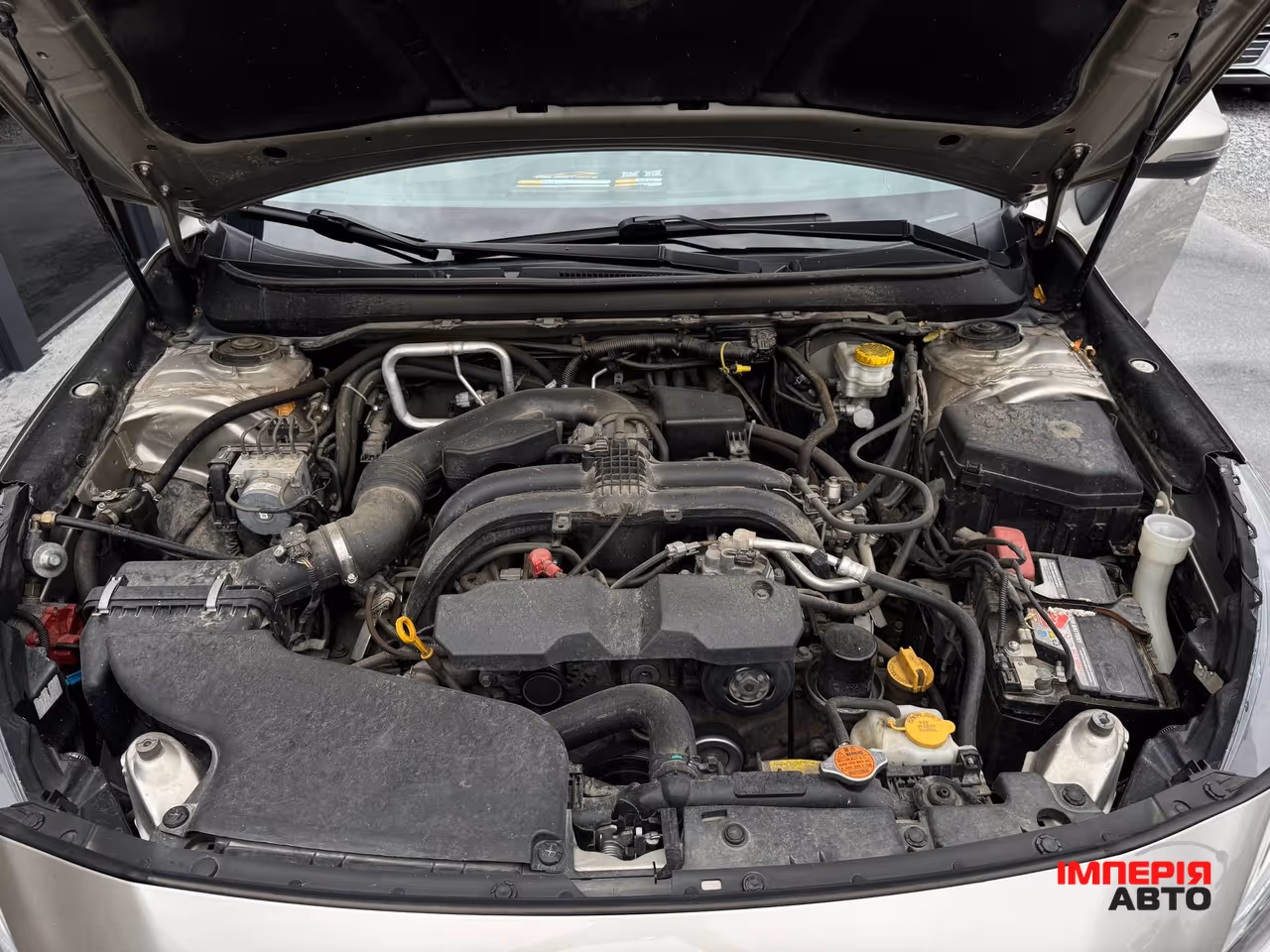 Subaru Outback - фото 78