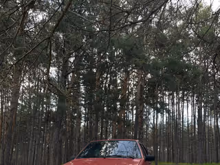 Фото 1