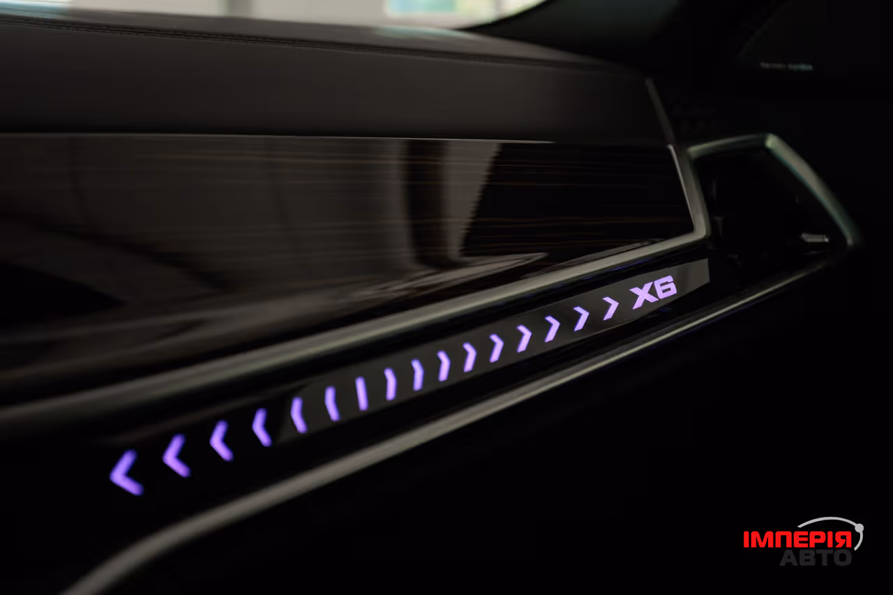 BMW X6 - фото 17