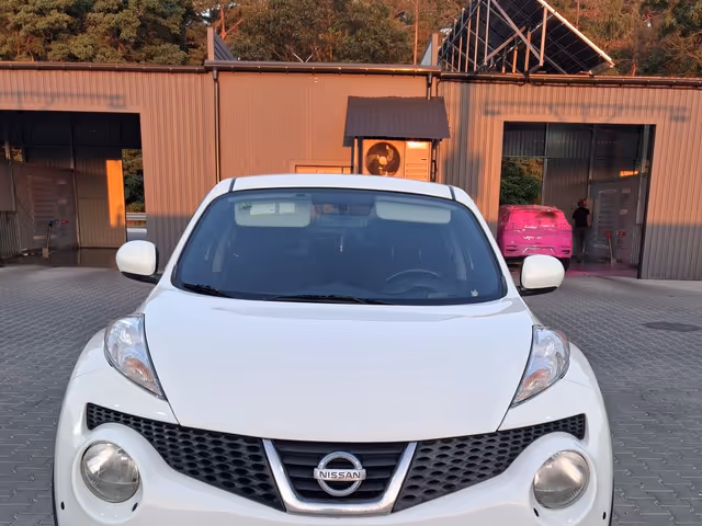 Nissan Juke - зображення 1