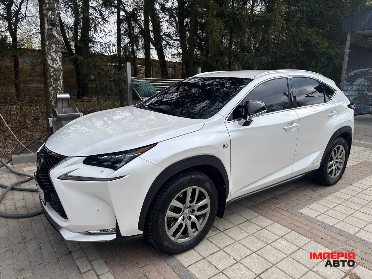 Lexus NX - фото 6