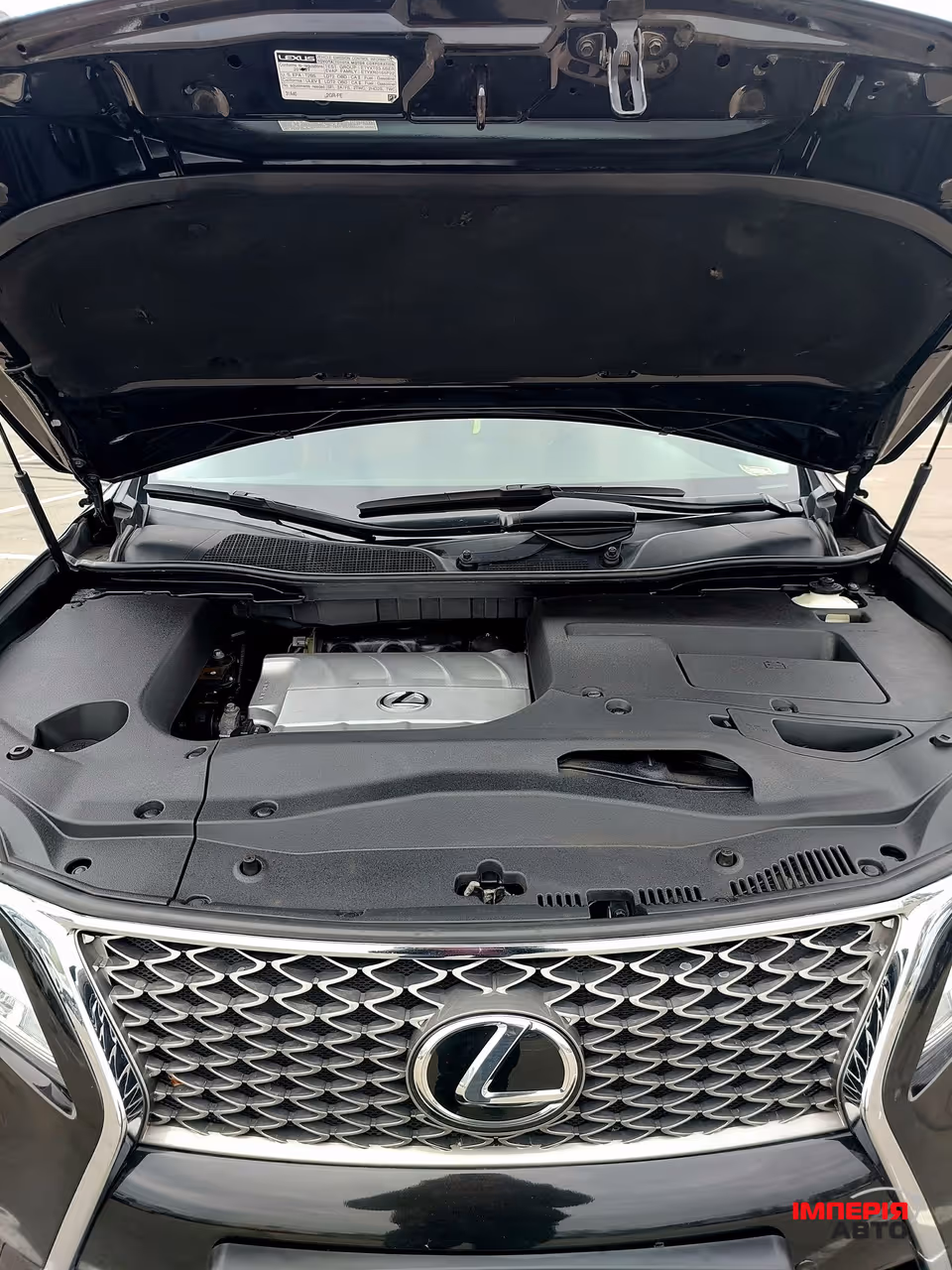 Lexus RX - фото 19