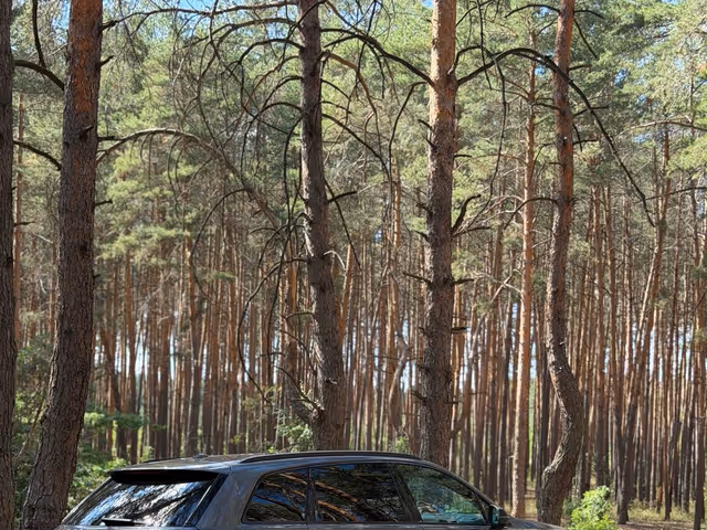 Audi Q7 - зображення 1