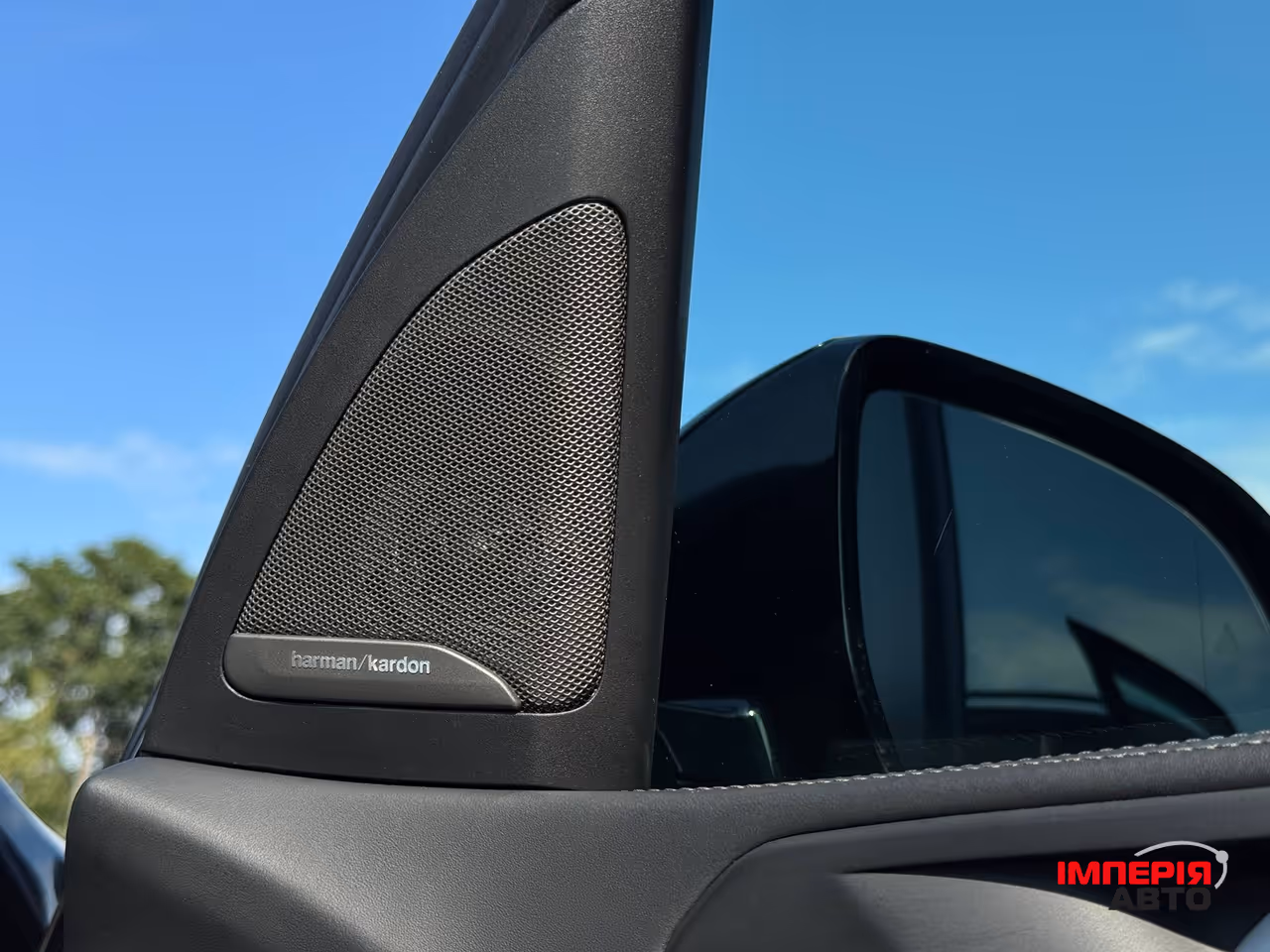 BMW X7 - фото 6