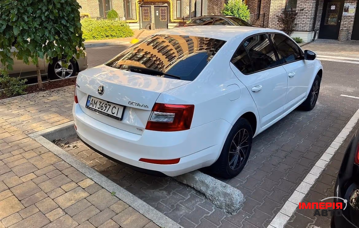 Skoda Octavia - фото 5