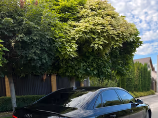 Фото 6