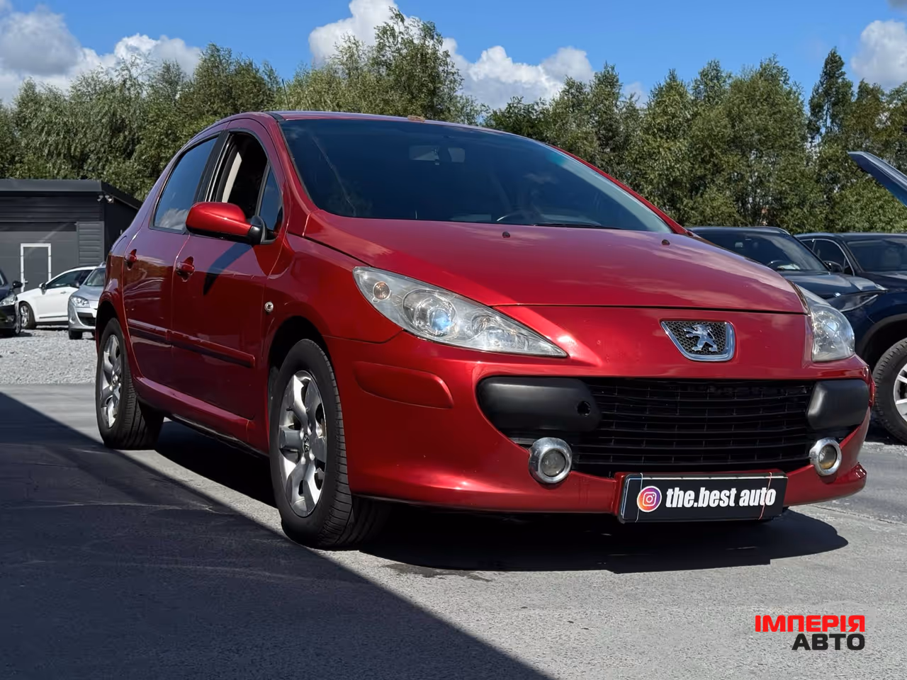 Peugeot 307 - фото 10