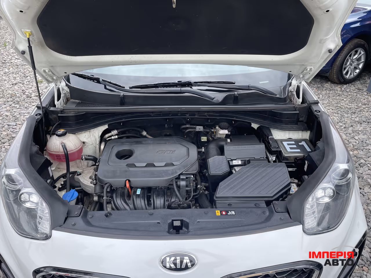Kia Sportage - фото 4