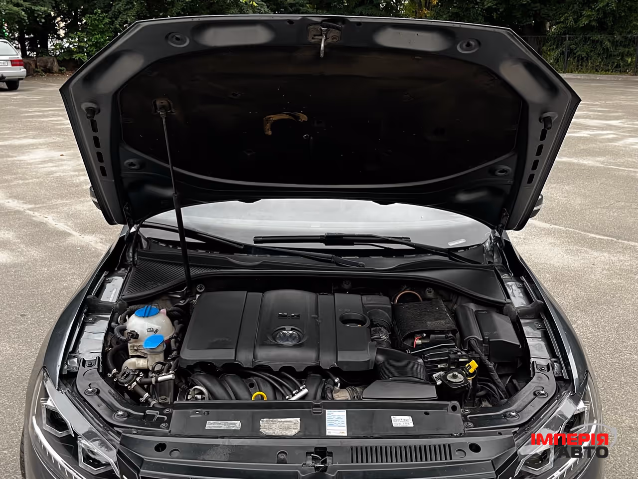 Volkswagen Passat USA/NMS - фото 20