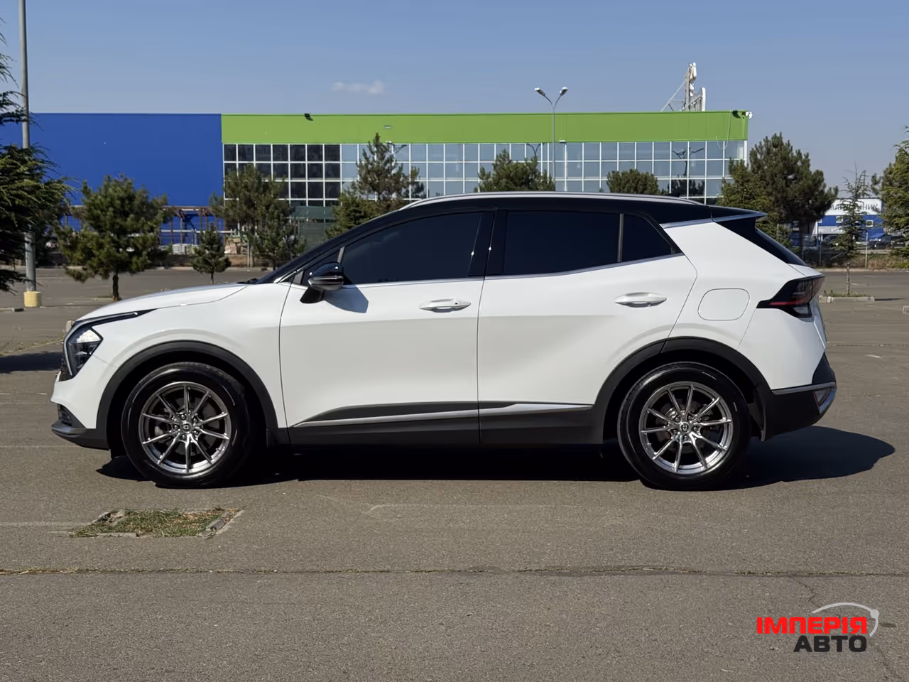 Kia Sportage - фото 6
