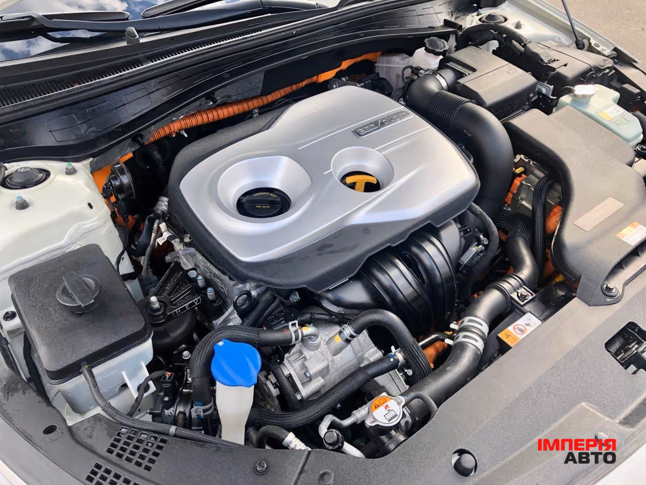 Kia Optima - фото 16