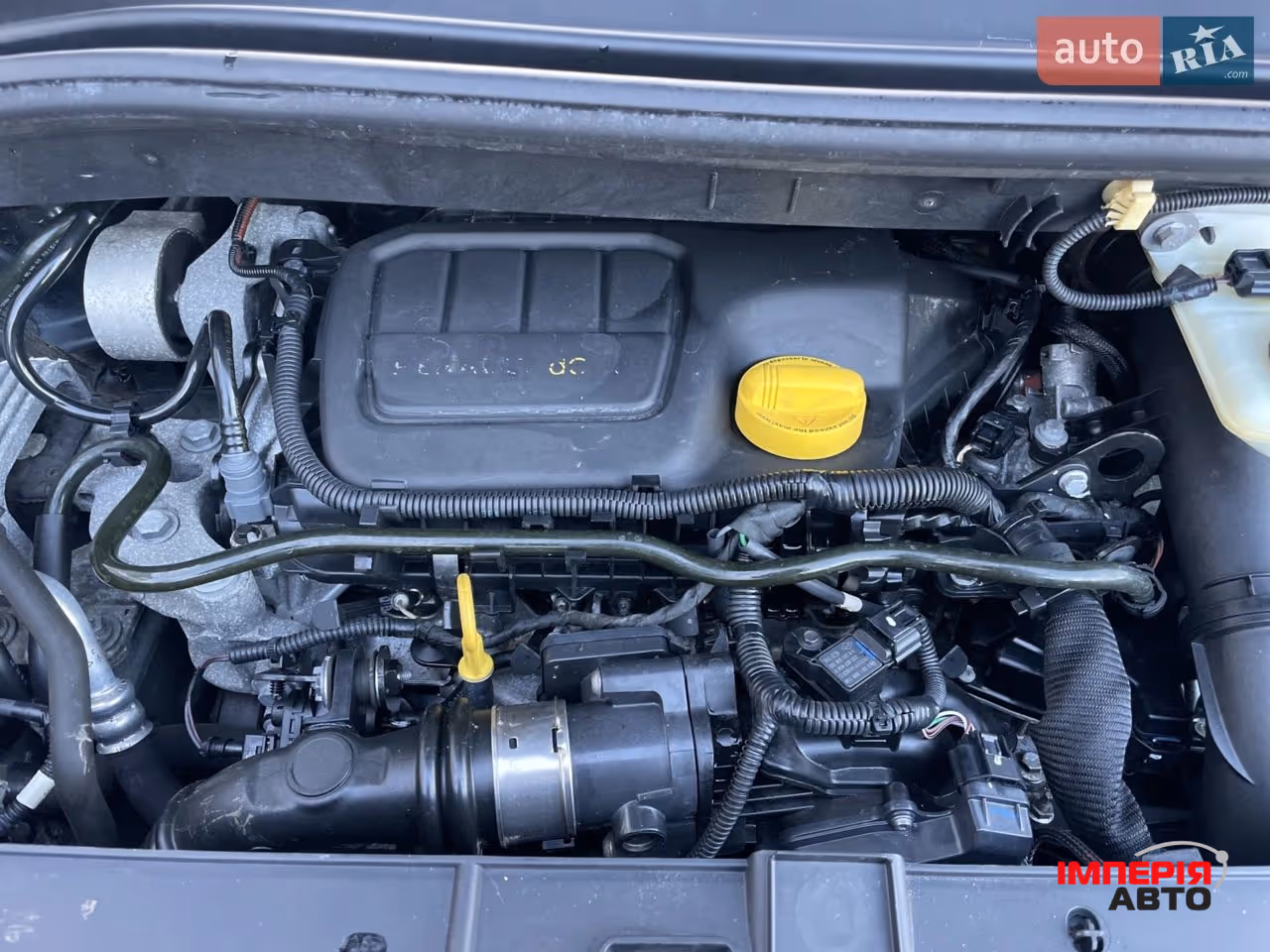 Renault Scenic - фото 45
