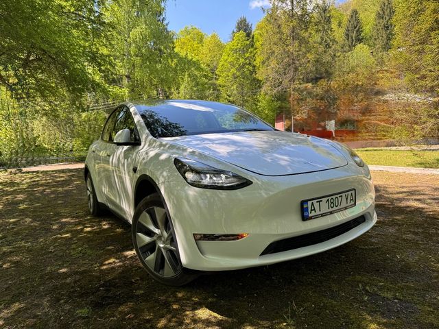 Tesla Model Y - фото 1
