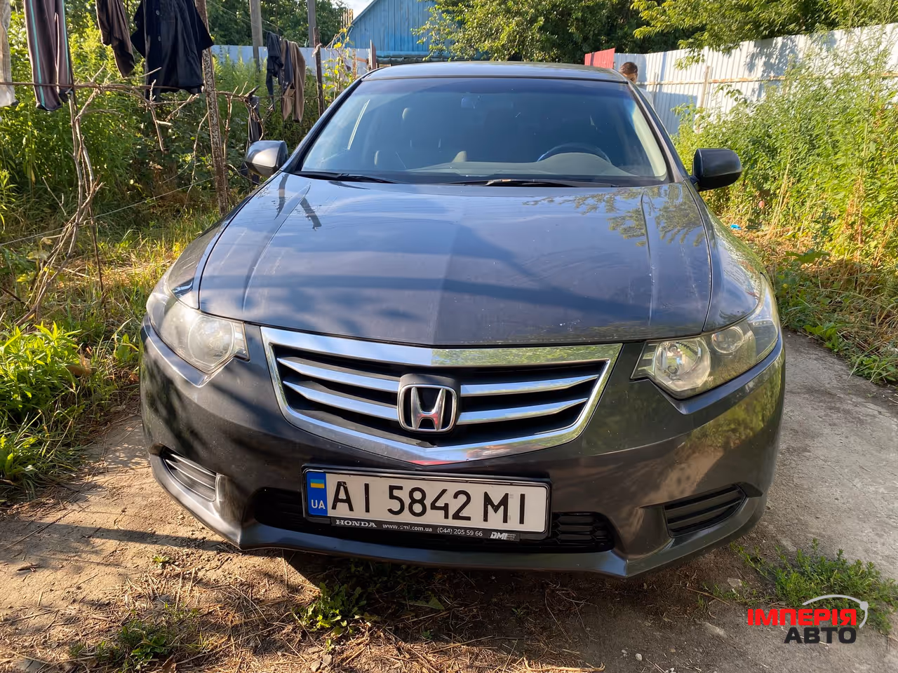 Honda Accord - фото 1