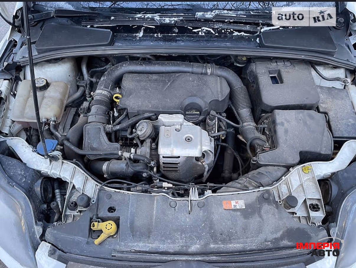 Ford Focus - фото 8