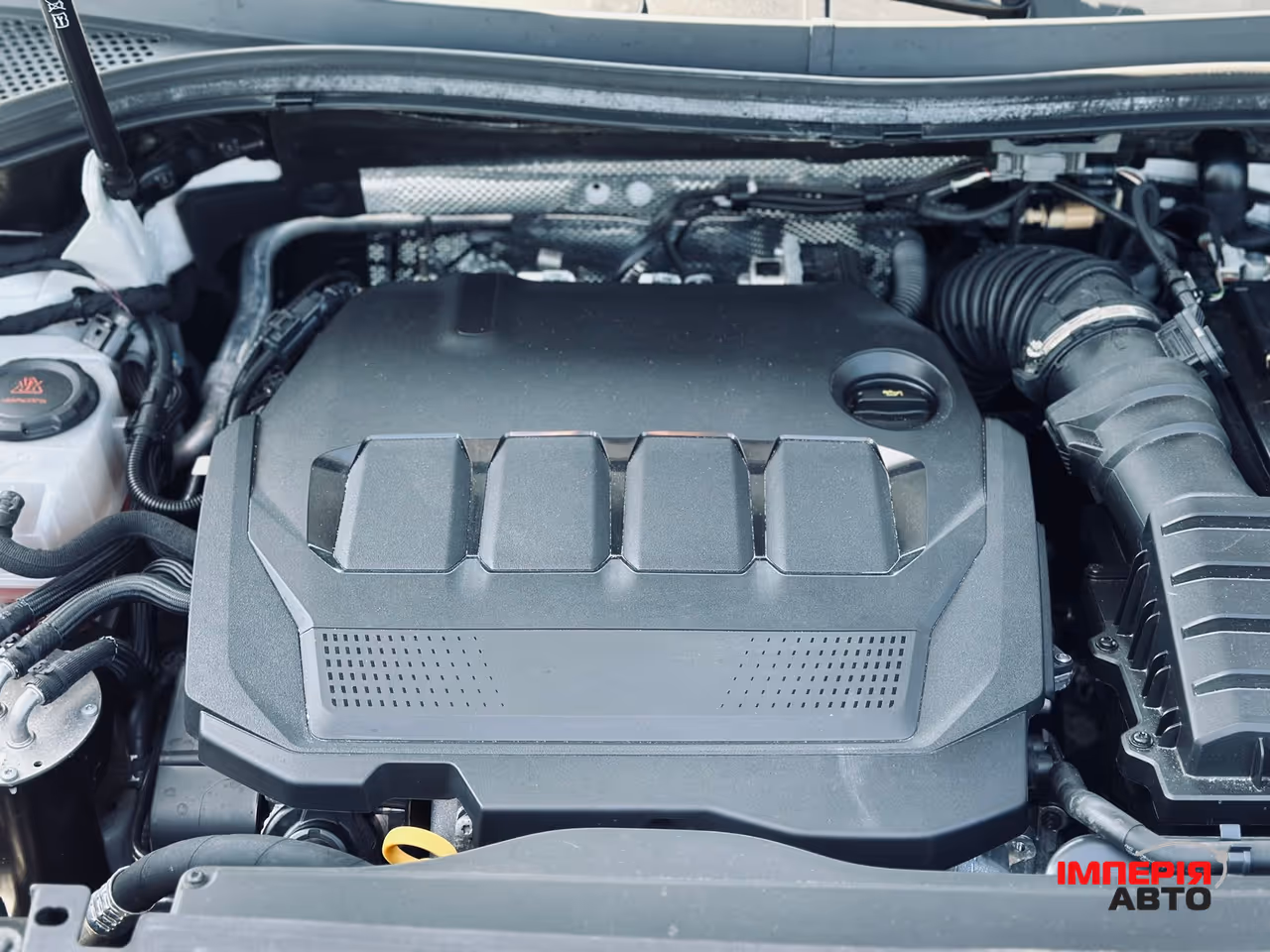 Volkswagen Tiguan - фото 57