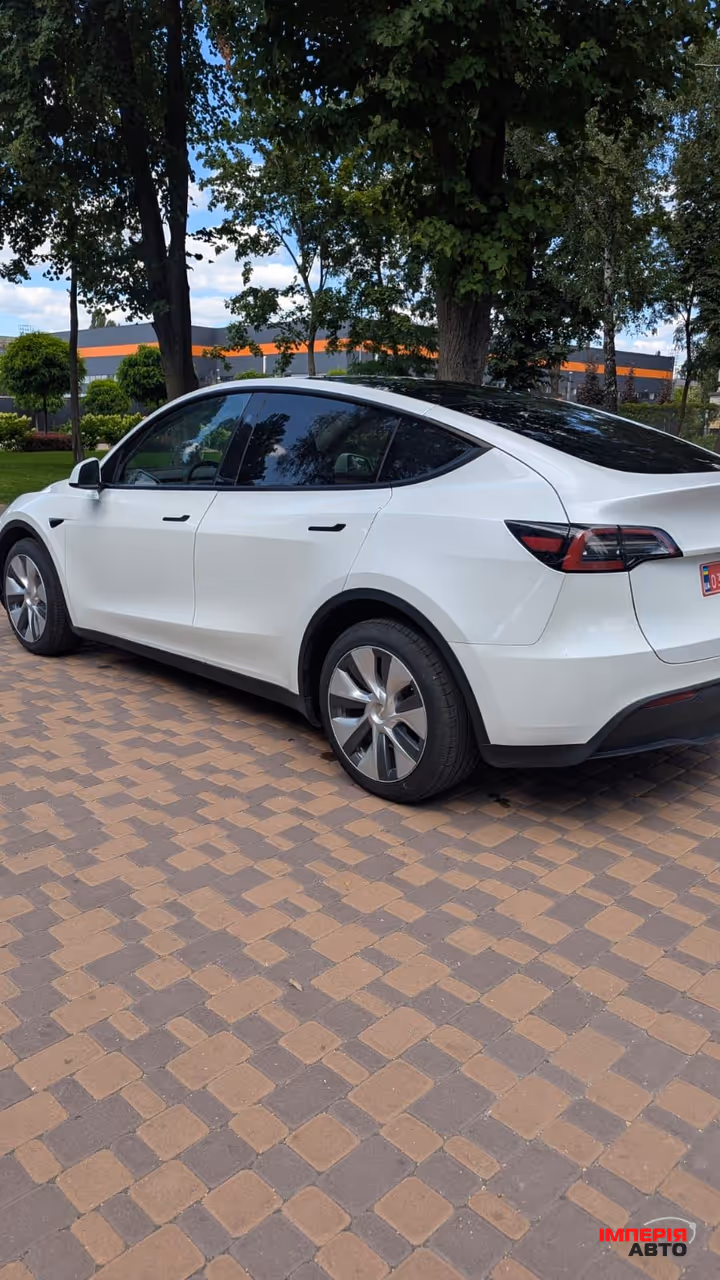 Tesla Model Y - фото 6